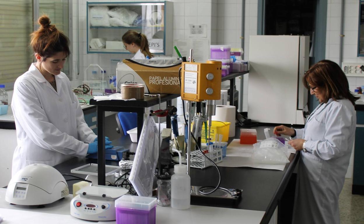 Las científicas de la ULE tienen un destacado papel en la institución.