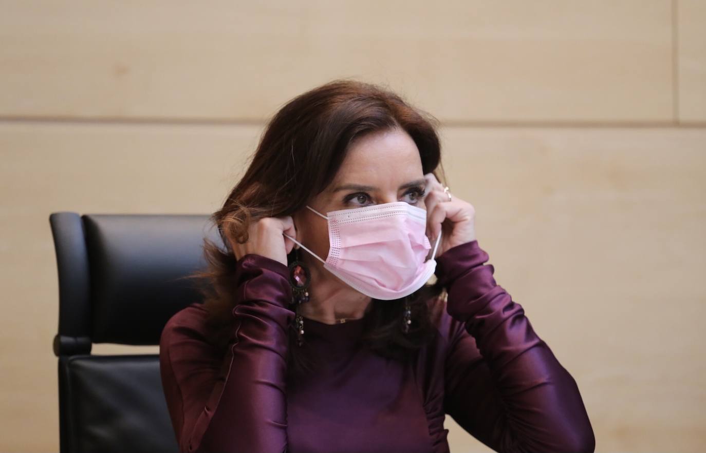 Fotos: Comparecencia de la consejera de Empleo e Industria en las Cortes