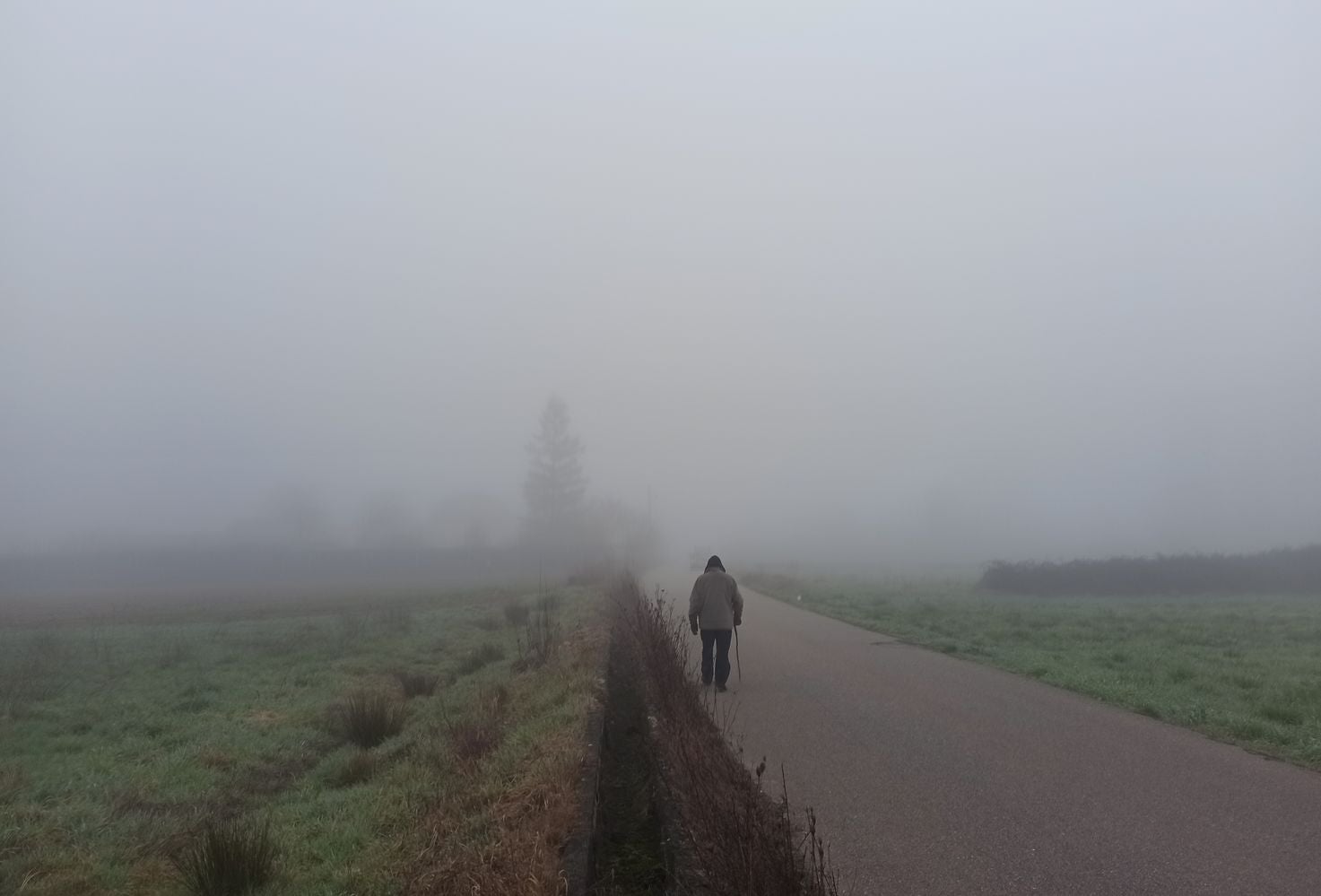 La intensa niebla protagoniza la jornada de este lunes en toda la provincia de León. En la imagen, niebla en la zona del bierzo.