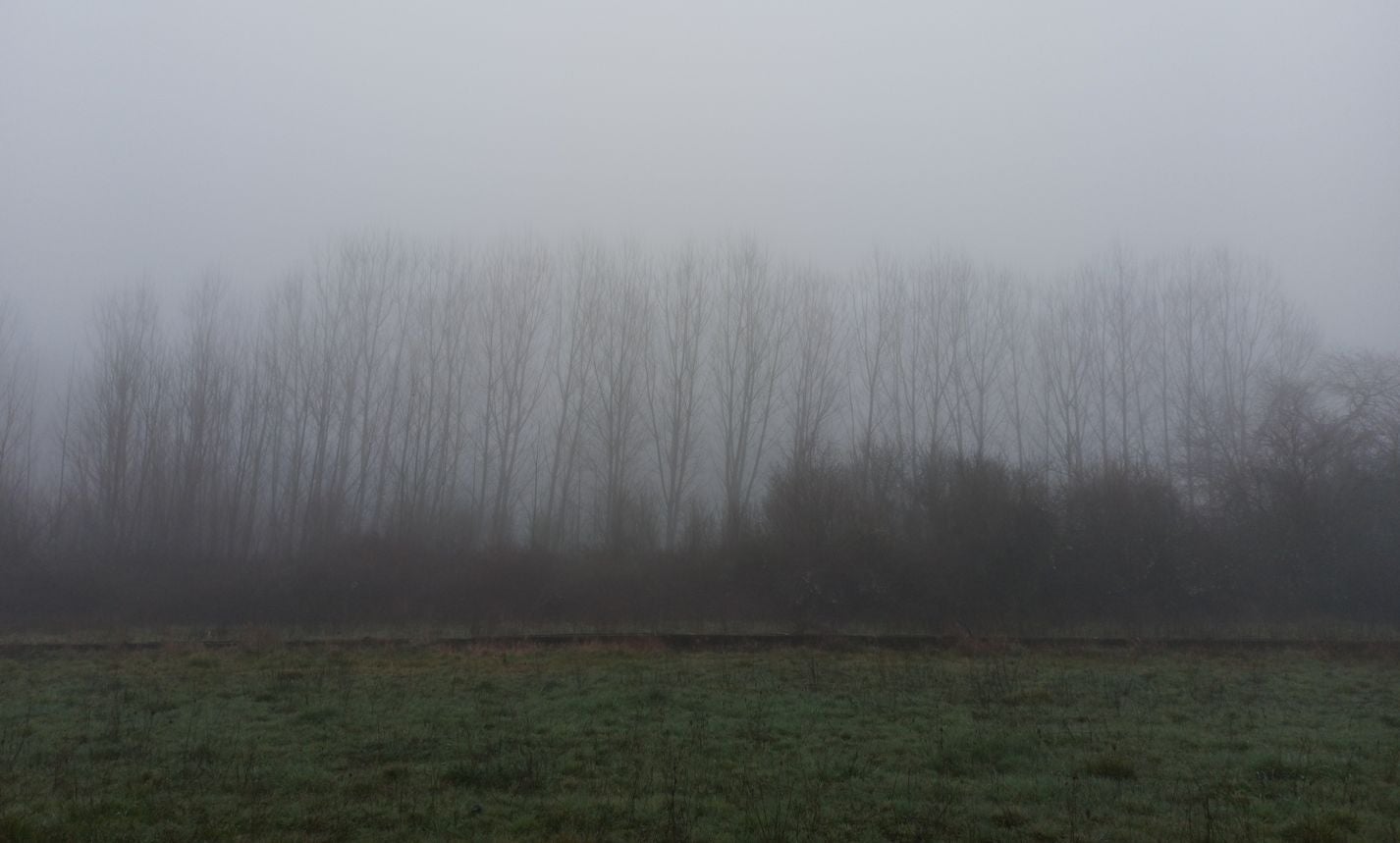 La intensa niebla protagoniza la jornada de este lunes en toda la provincia de León. En la imagen, niebla en la zona del bierzo.