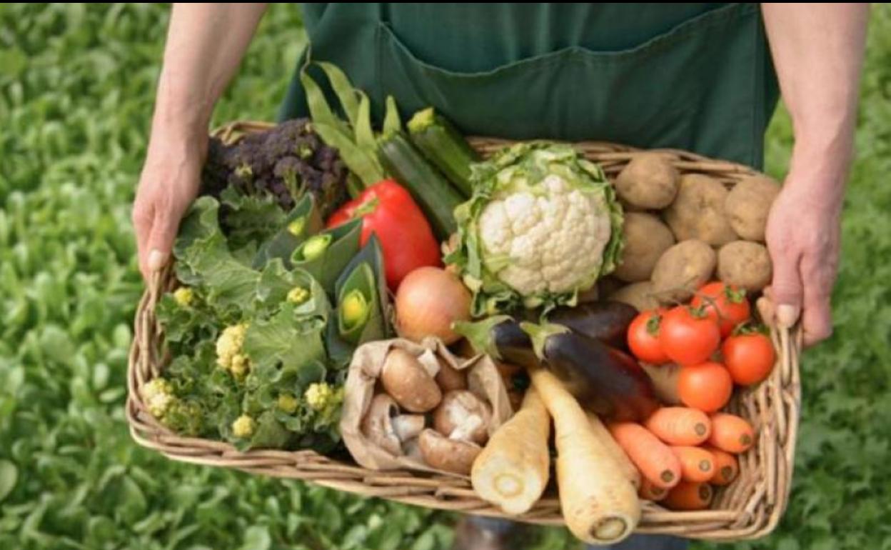 Un agricultor con parte de la cosecha.