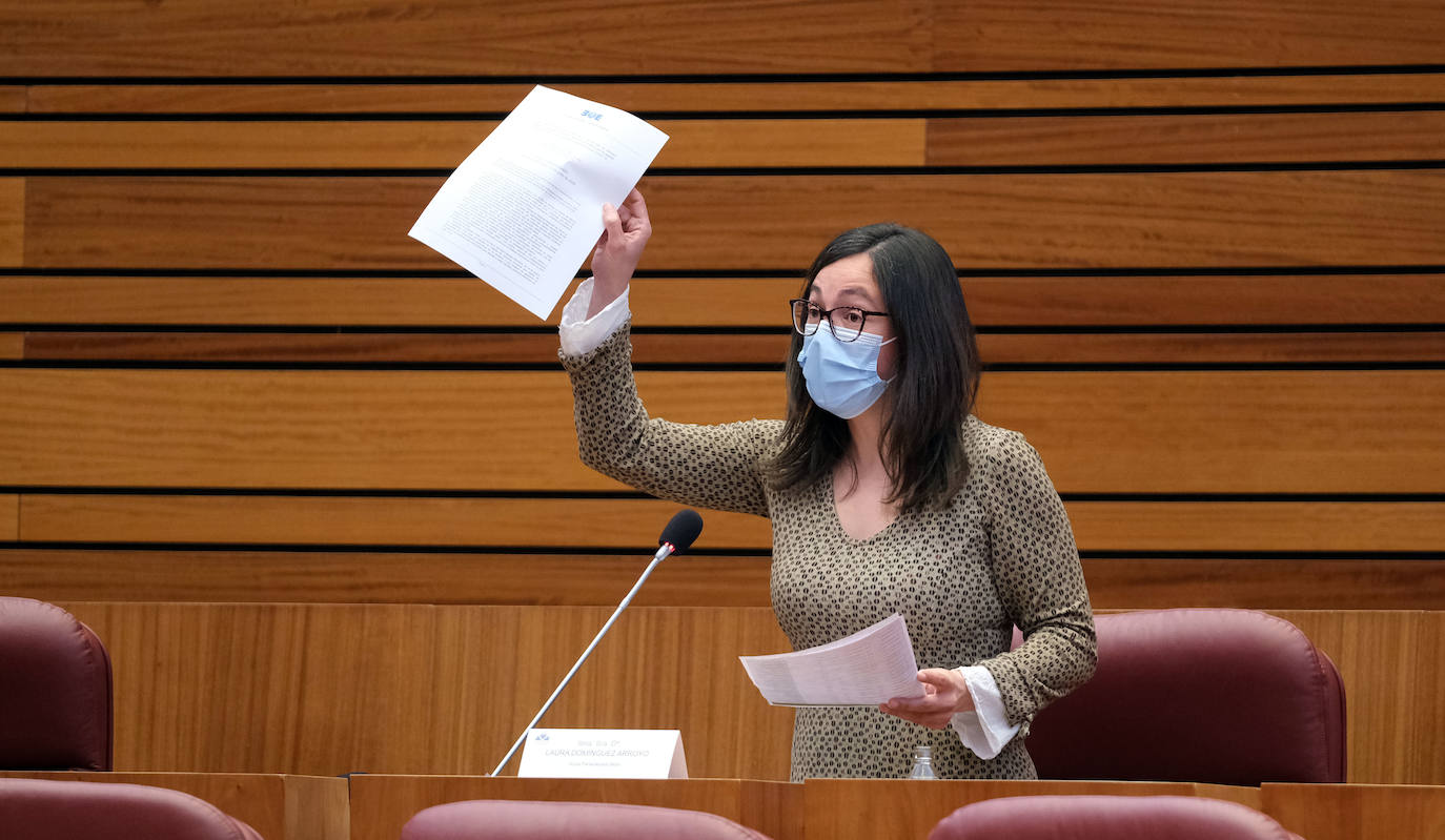 Fotos: Pleno de las Cortes de Castilla y León