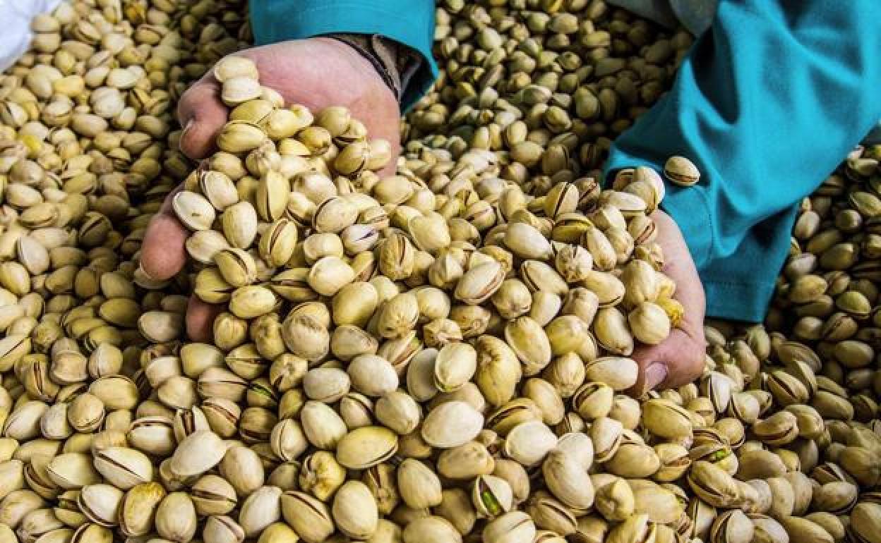 Pistachos de Castilla y León. 