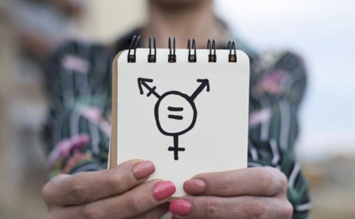 Más de 800 cargos públicos, orgánicos y militantes de Podemos lanzan un manifiesto contra la 'ley trans'