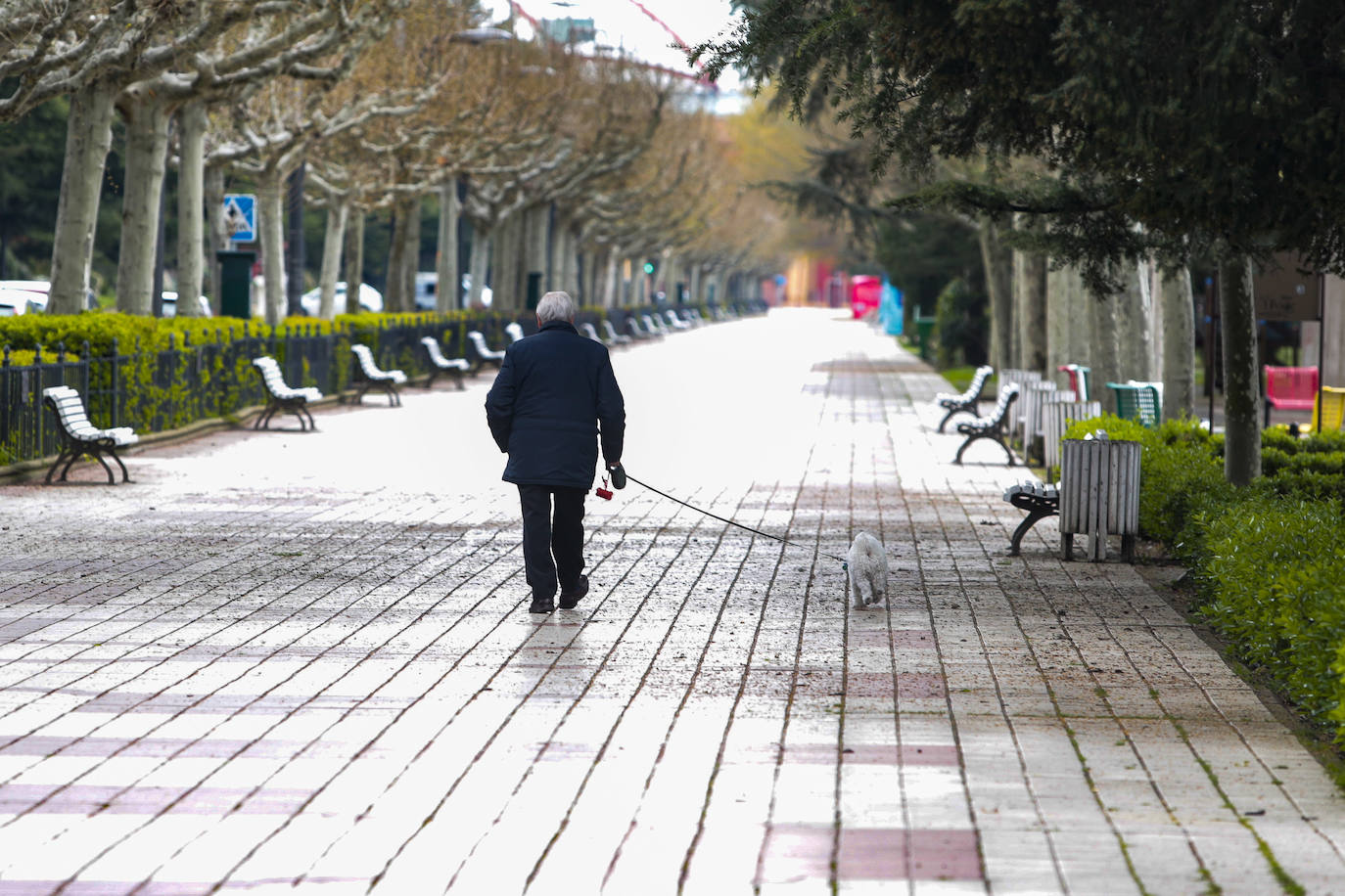 Paseo de Papalaguinda