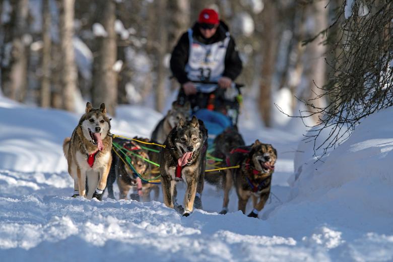 El equipo de Travis Beals corre al comienzo de la Iditarod Trail Sled Dog Race.