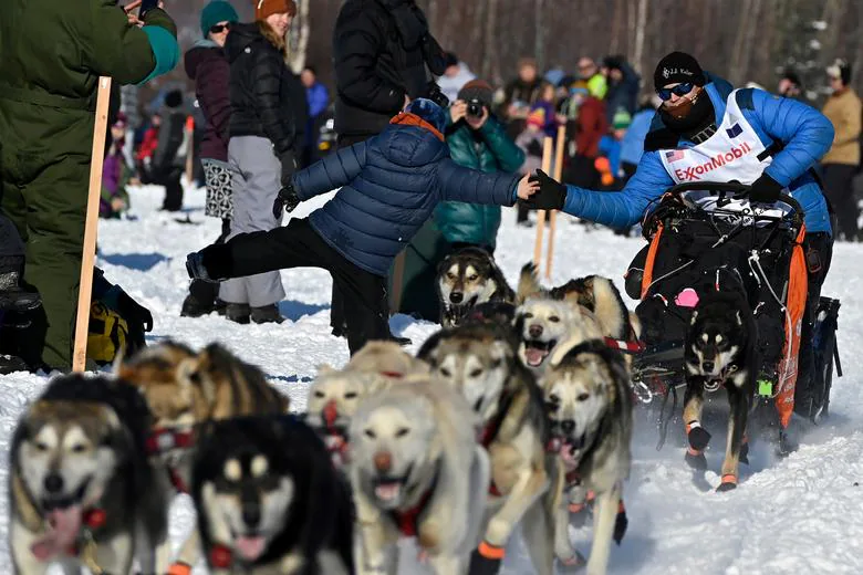 Fotos: Perros de trineo y distanciamiento social en Alaska 