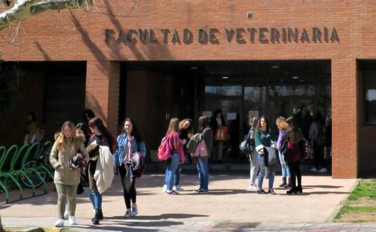 Facultad de Veterinaria de la ULE. 