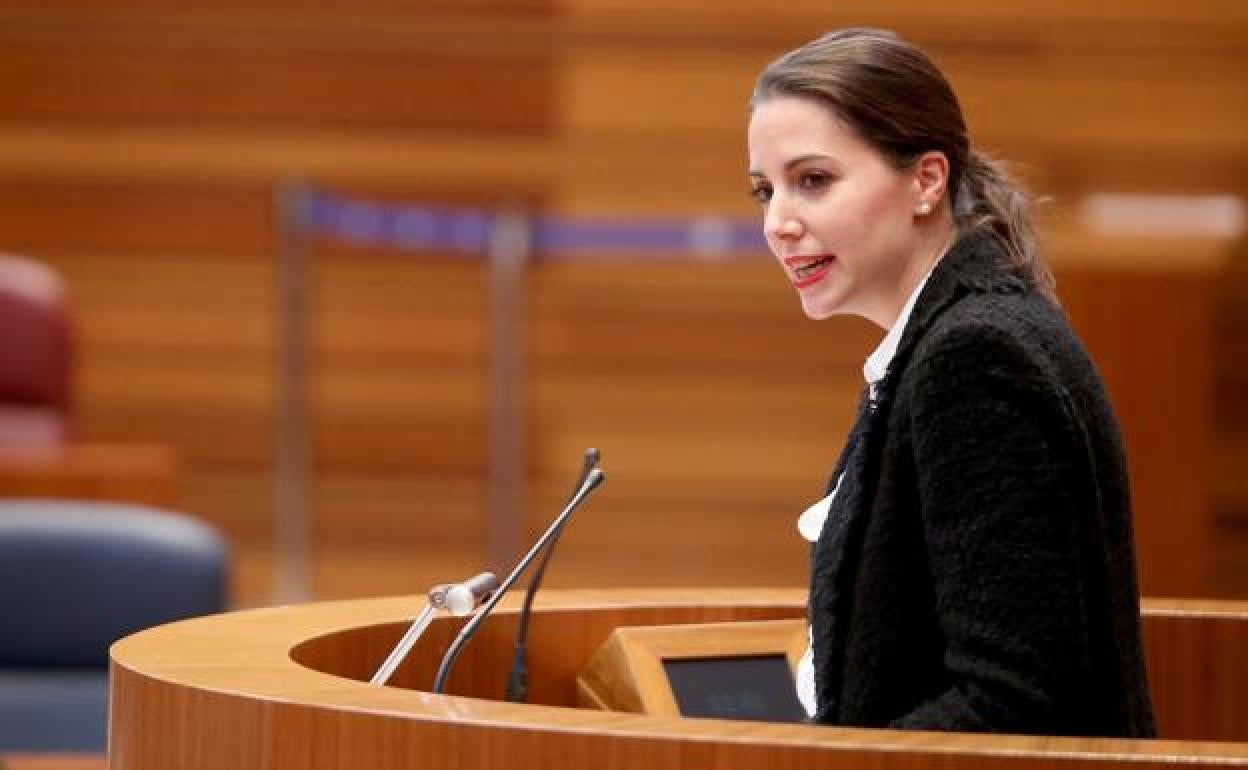 La procuradora de Ciudadanos María Montero en una intervención en el pleno.