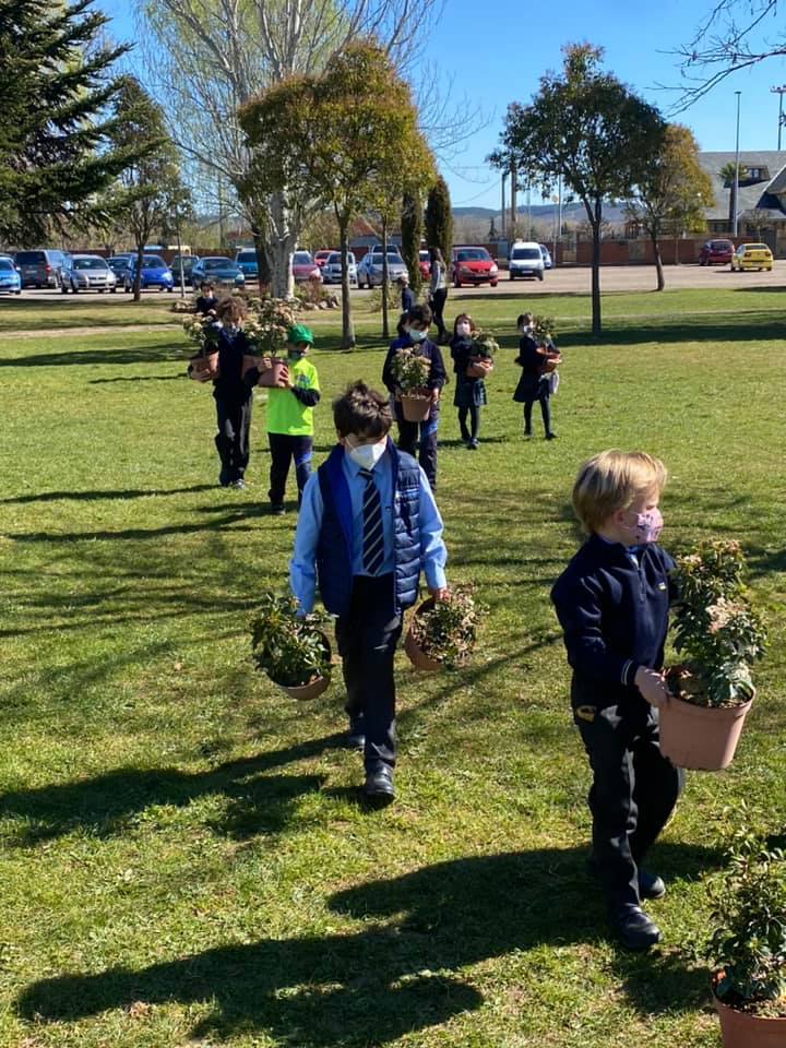 Fotos: «Día de la primavera» en Peñacorada