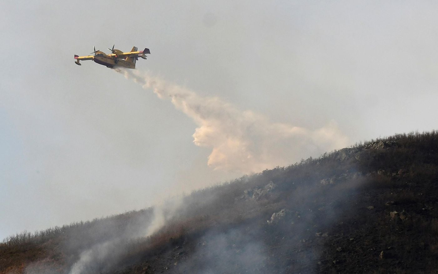 Las llamas, que asolan la ladera del pinar del Pico Muela, han obligado a actuar a medios terrestres y dos helicópteros.