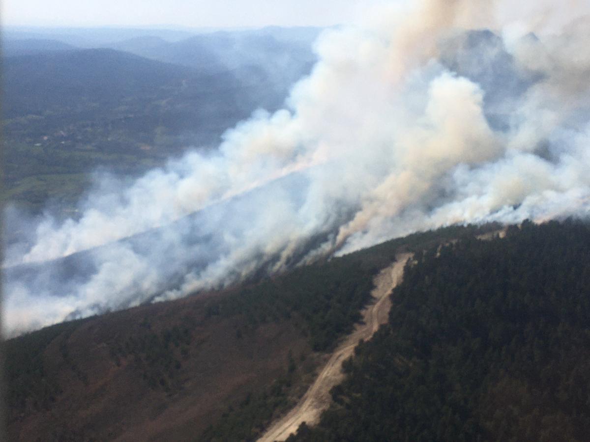 Las llamas, que asolan la ladera del pinar del Pico Muela, han obligado a actuar a medios terrestres y dos helicópteros.