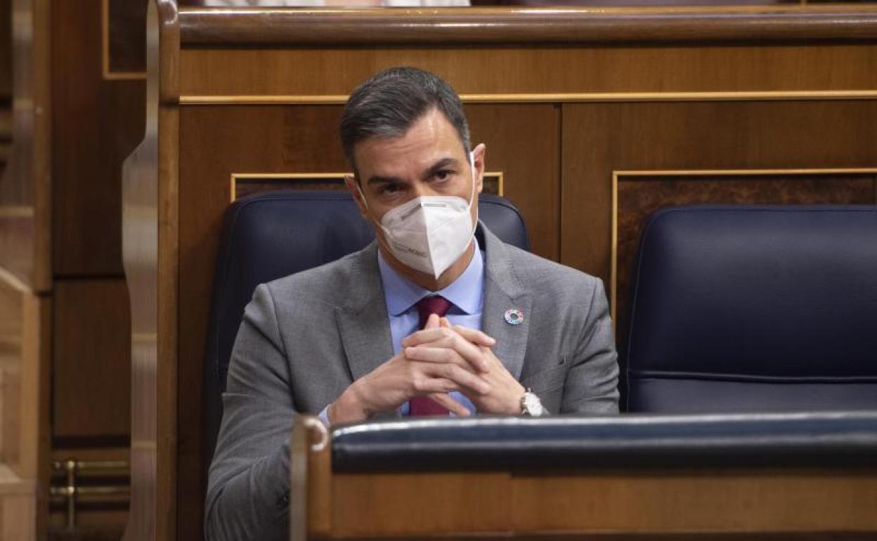 Pedro Sánchez, presidente del Gobierno 