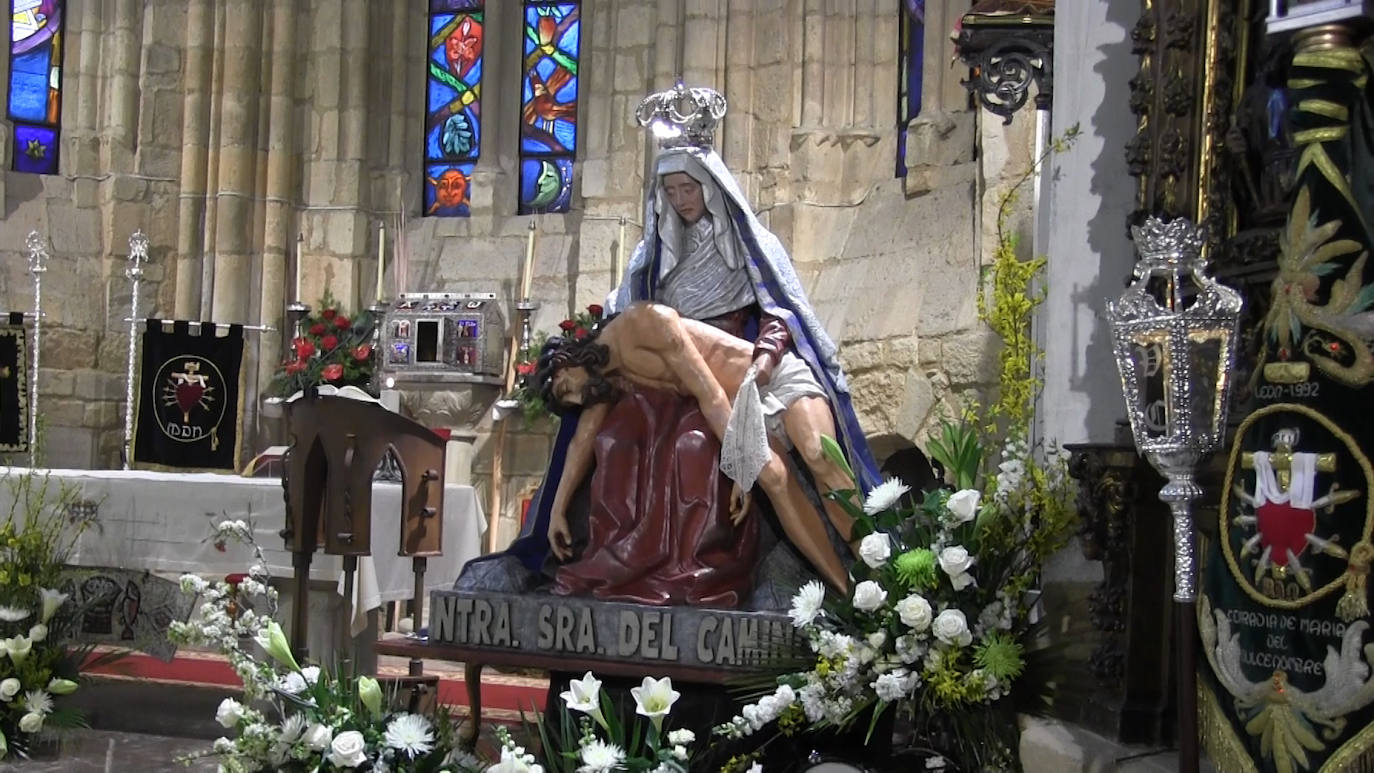 Fotos: Ofrenda floral al Cristo de San Martín