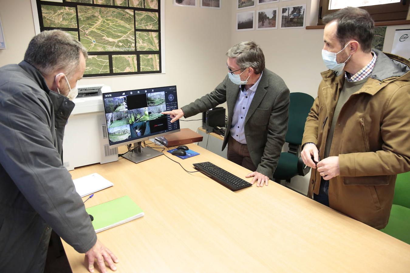 La osezna Éndriga, acogida en Valsemana, volverá en breve al medio natural