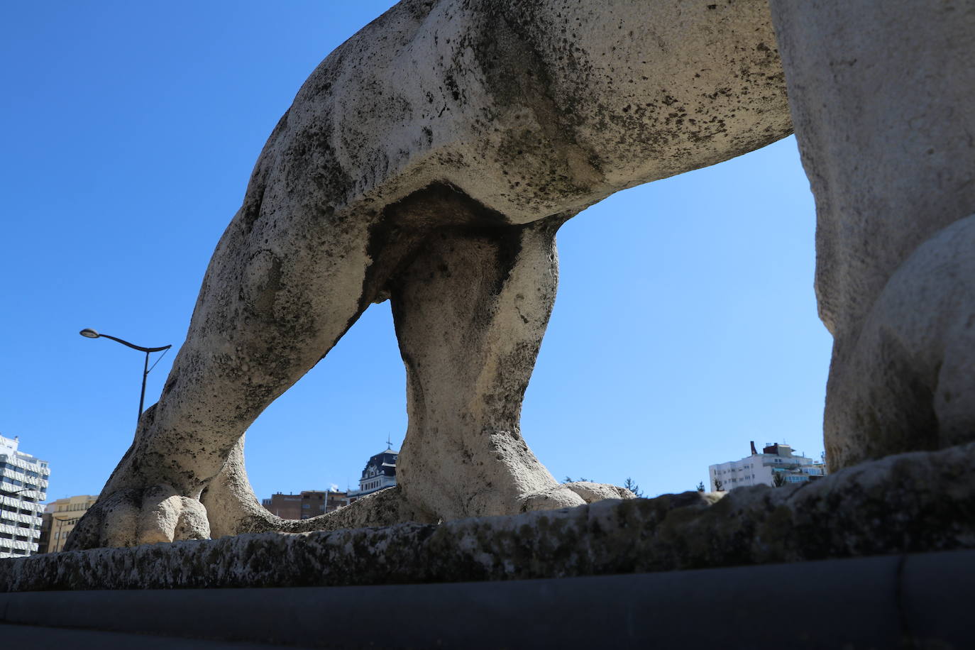 Los cuatro felinos del Puente de los Leones presentan un mal estado desde hace tiempo.