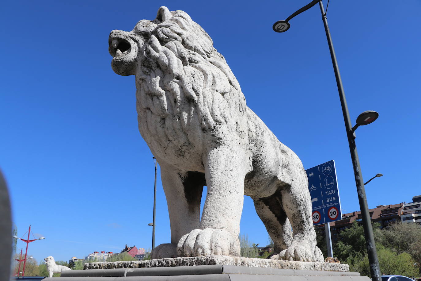 Fotos: La delicada situación de los leones en el puente 