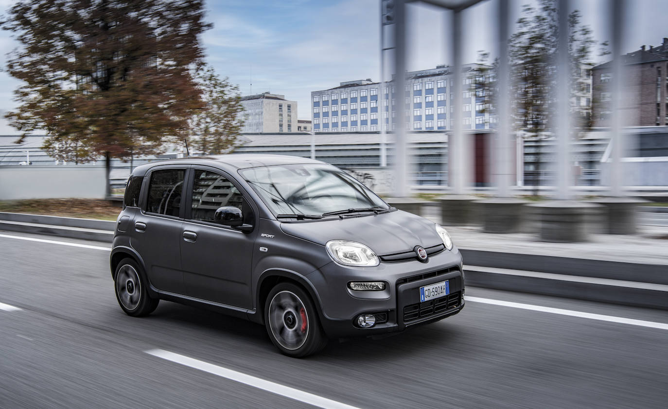 Fotos: Fotogalería: Fiat panda, un cuarentón a la última