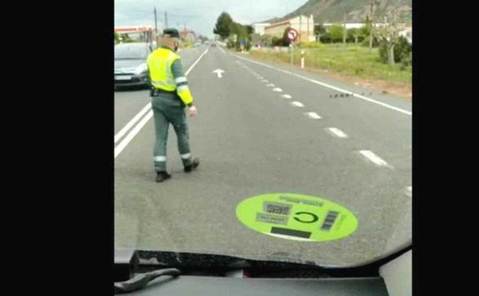 La familia de patos cruzando la carretera.