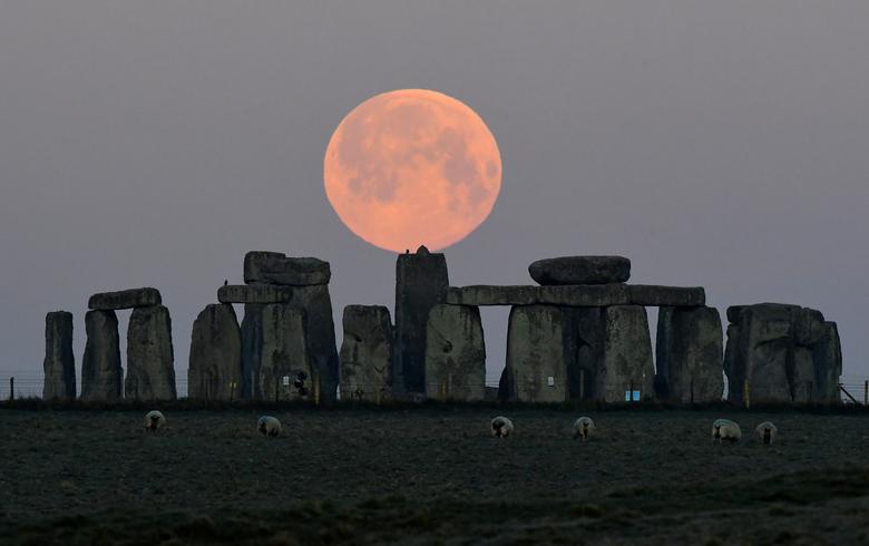 Las ovejas pastan mientras la luna llena, conocida como la "Super Luna Rosa", se pone detrás del círculo de piedra de Stonehenge cerca de Amesbury, Gran Bretaña. 