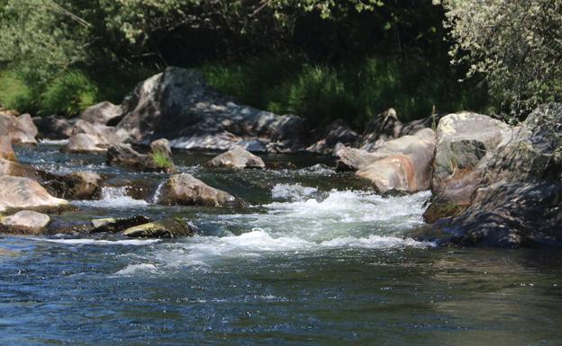 Galería. El rio Omaña a su paso por Riello.