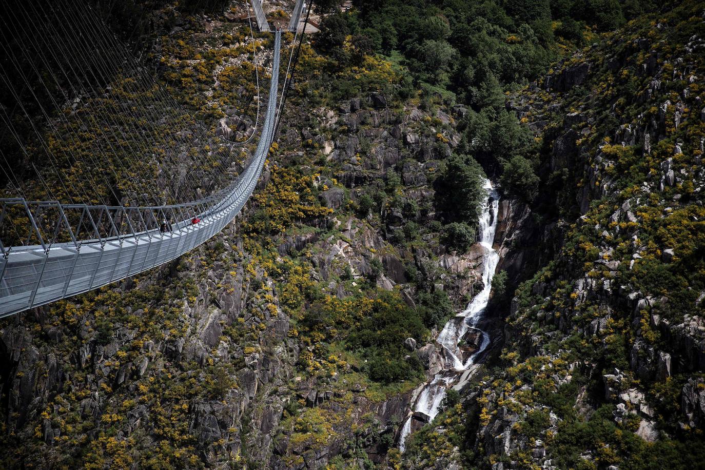 Portugal inauguró este jueves 29 de abril el puente peatonal suspendido más largo del mundo, a 175 metros sobre el río Paiva, en el norte, y que con sus 516 metros supera el récord establecido en 2017 por la pasarela Charles Kuonen de los Alpes suizos. El puente atraviesa un barranco granítico del municipio de Arouca y está formado por 127 planchas de rejilla con barandillas metálicas de 1,20 metros de ancho, sujetas por cables de acero a unos pilares en forma de 'V' situados a cada extremo.