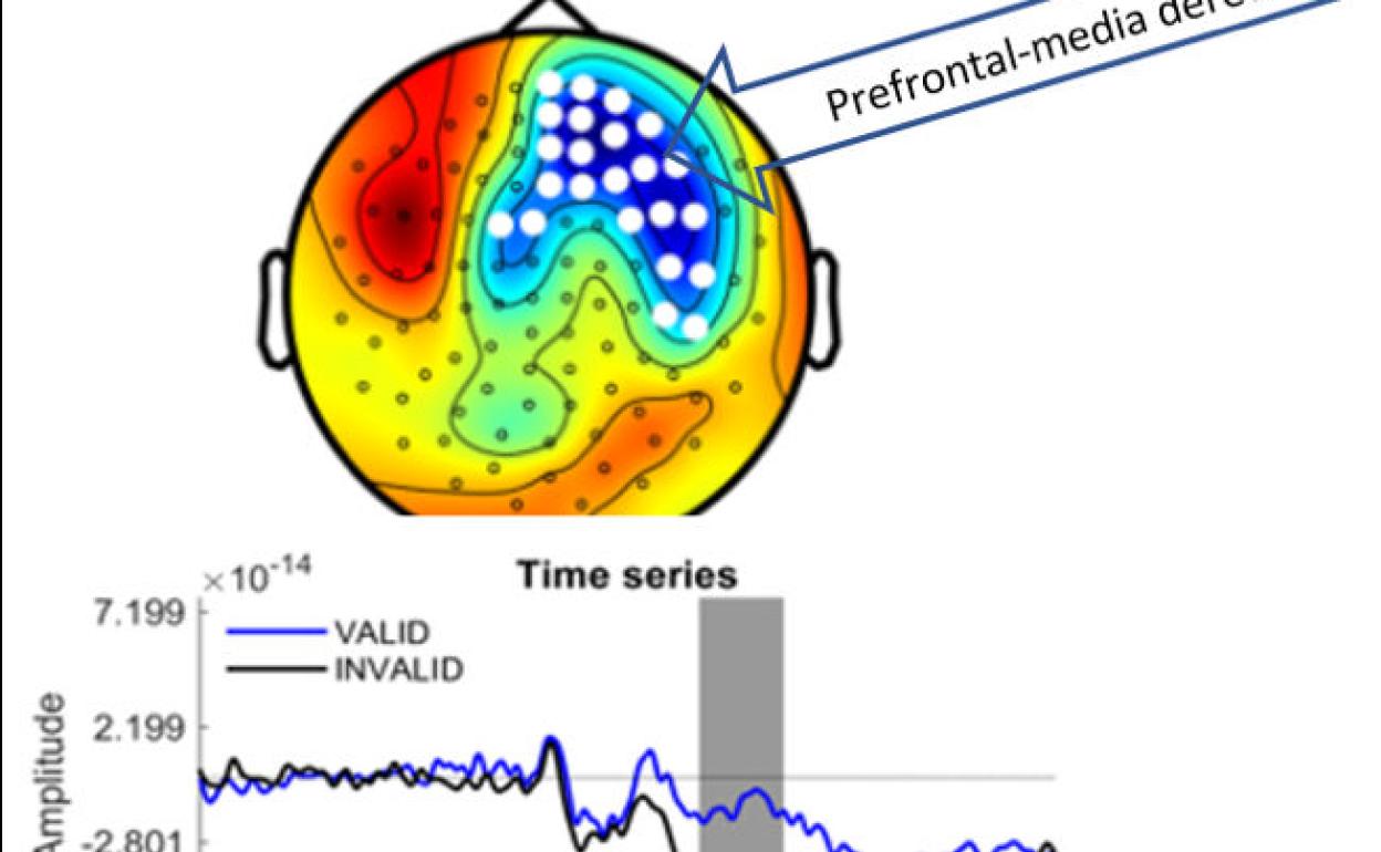 Investigadores de la ULE descubren el rastro cerebral del razonamiento válido