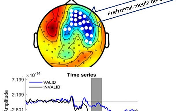 Investigadores de la ULE descubren el rastro cerebral del razonamiento válido