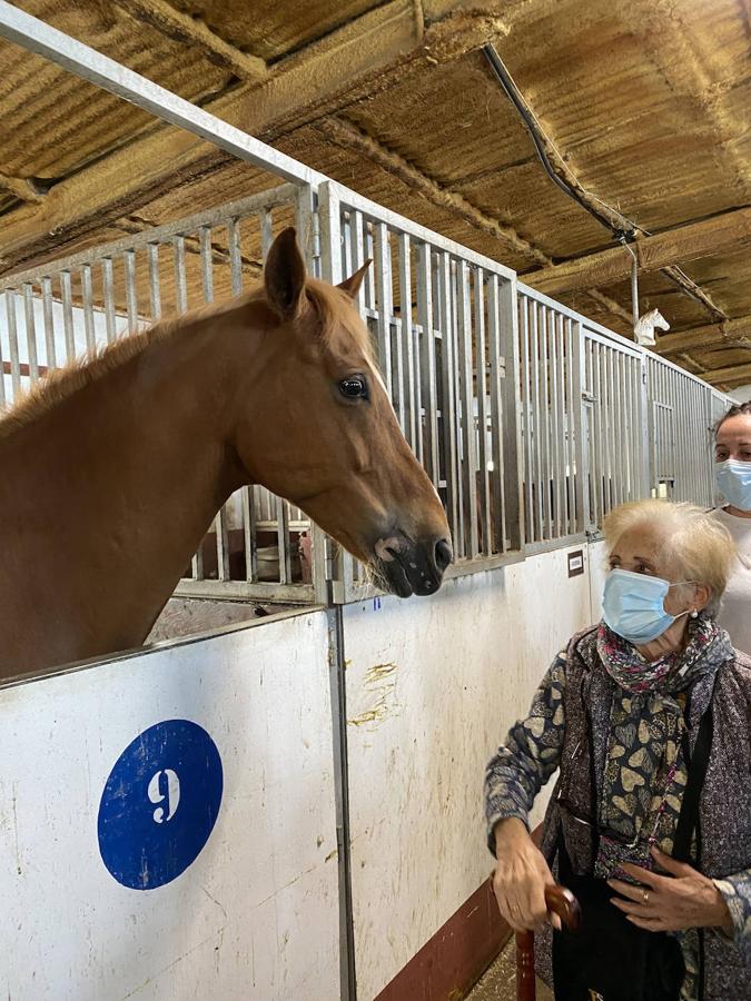 Un año después, ocho ancianos han vuelto a disfrutar del aire libre en una excursión con caballos.