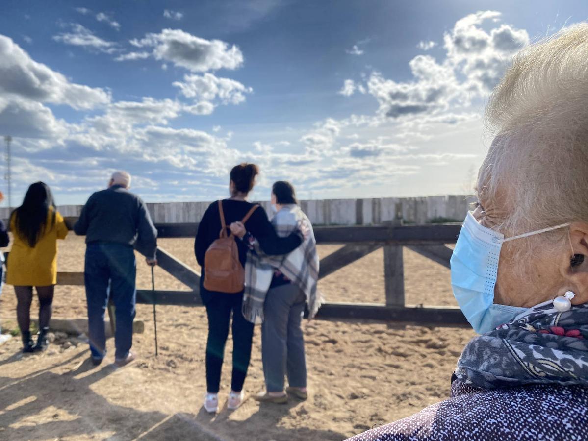 Un año después, ocho ancianos han vuelto a disfrutar del aire libre en una excursión con caballos.