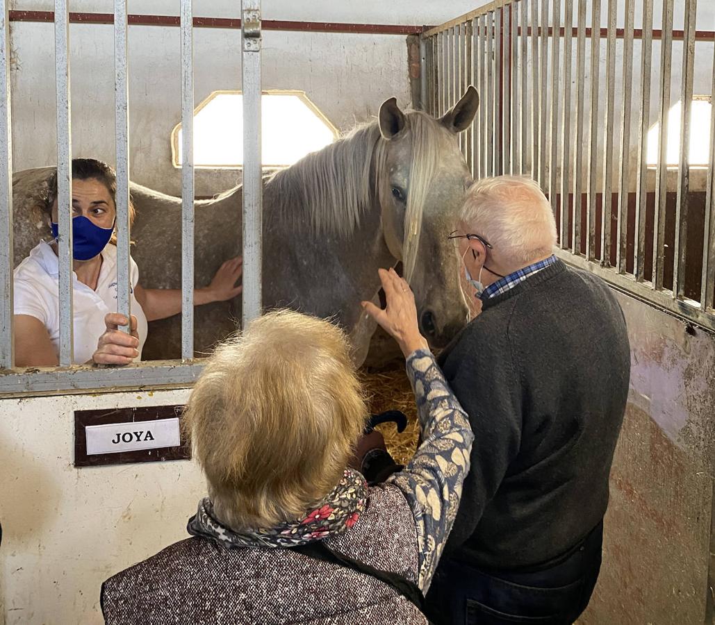 Un año después, ocho ancianos han vuelto a disfrutar del aire libre en una excursión con caballos.