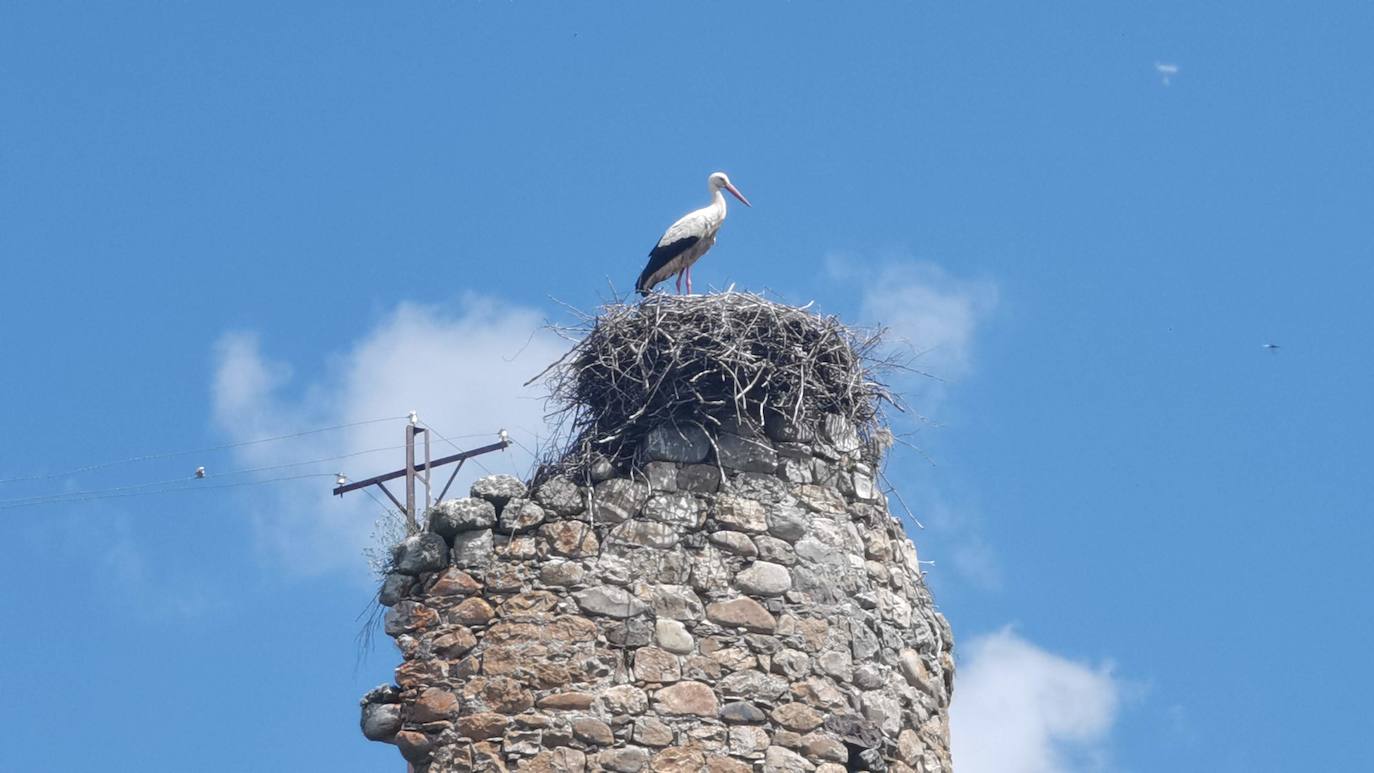 Los vecinos de la localidad del Castillo, en Riello, consiguen la cesión del Castillo de Benal, antigua propiedad de los Condes de Luna, para su rehabilitación y puesta en valor tras décadas de olvido que han llevado a la fortaleza a un estado de ruina.