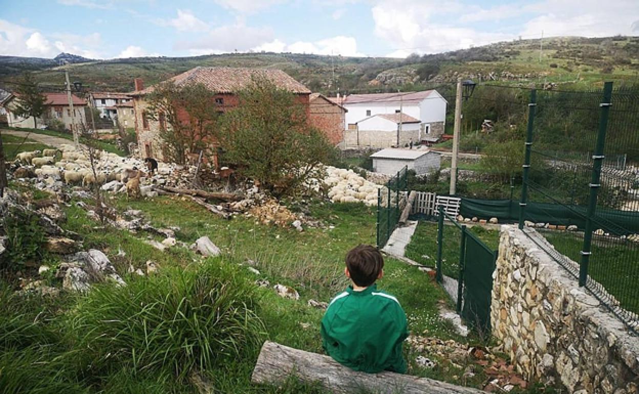 Imagen de un niño en una zona rural.