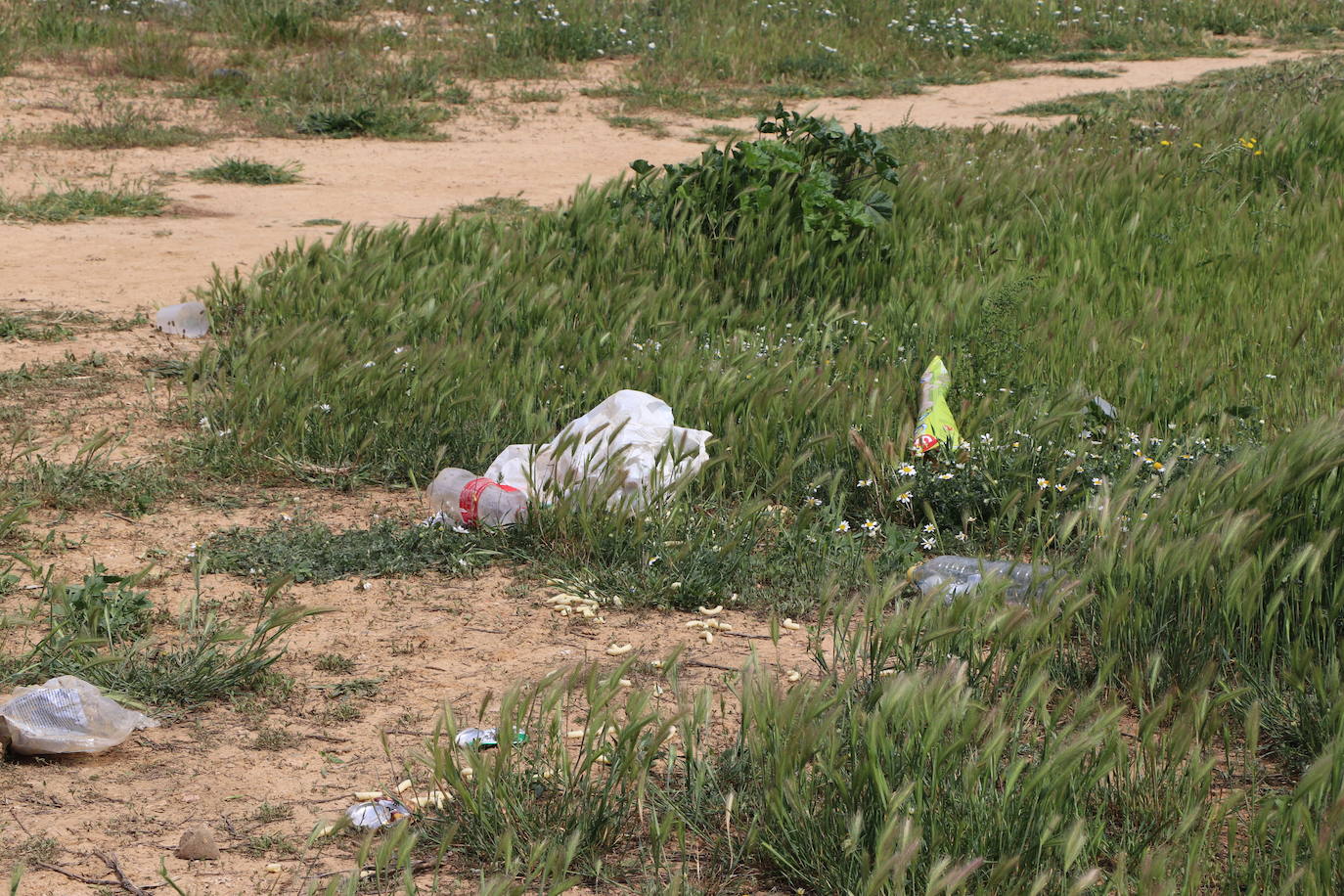 Un joven de 19 años ha fallecido a causa de una navajazo en el pecho durante un botellón esta pasada madrugada