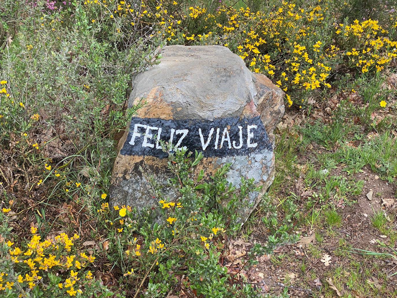 Diego Alonso y Alba García se coronan en la Truchillas-Vizcodillo