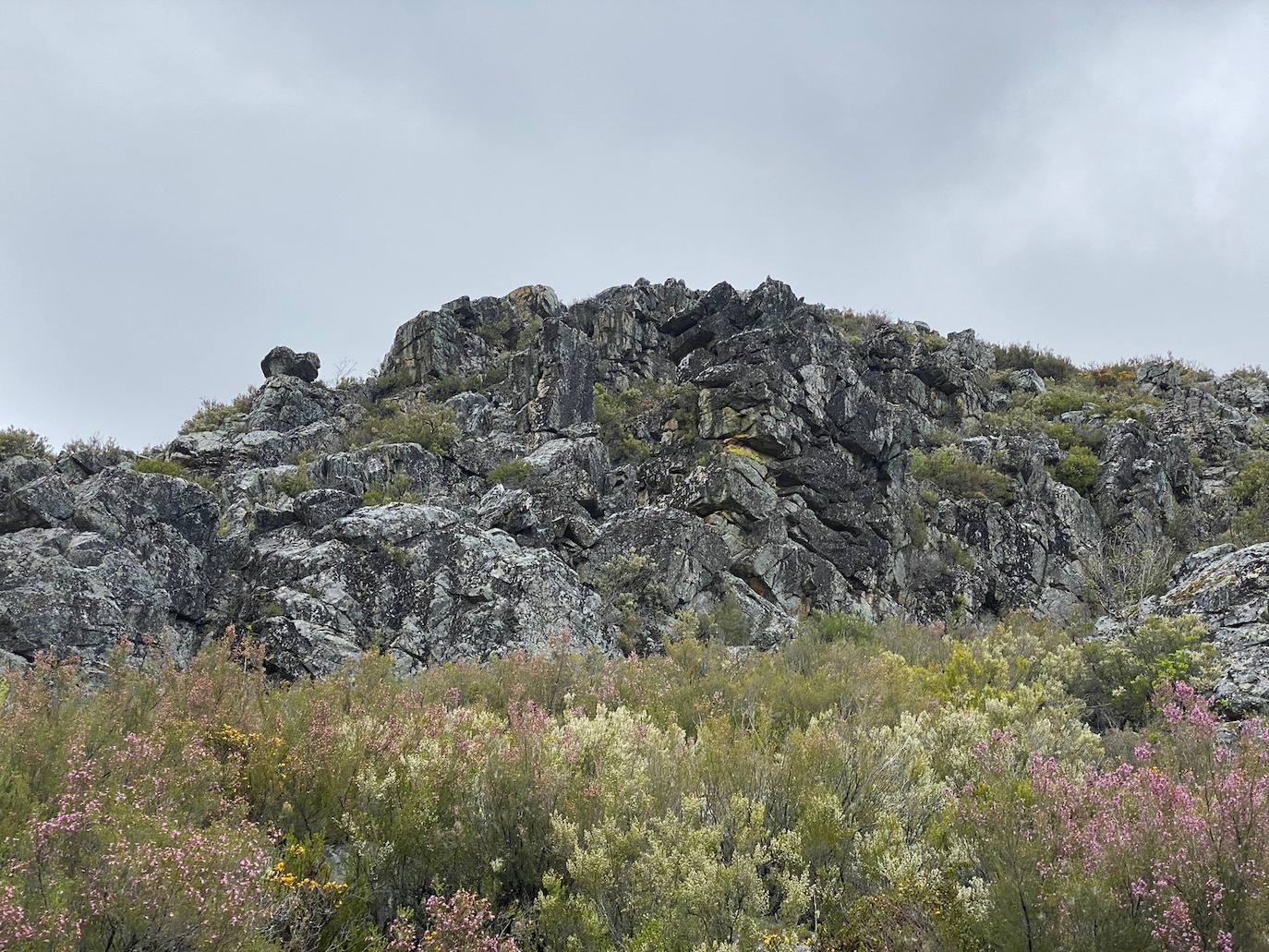 Diego Alonso y Alba García se coronan en la Truchillas-Vizcodillo