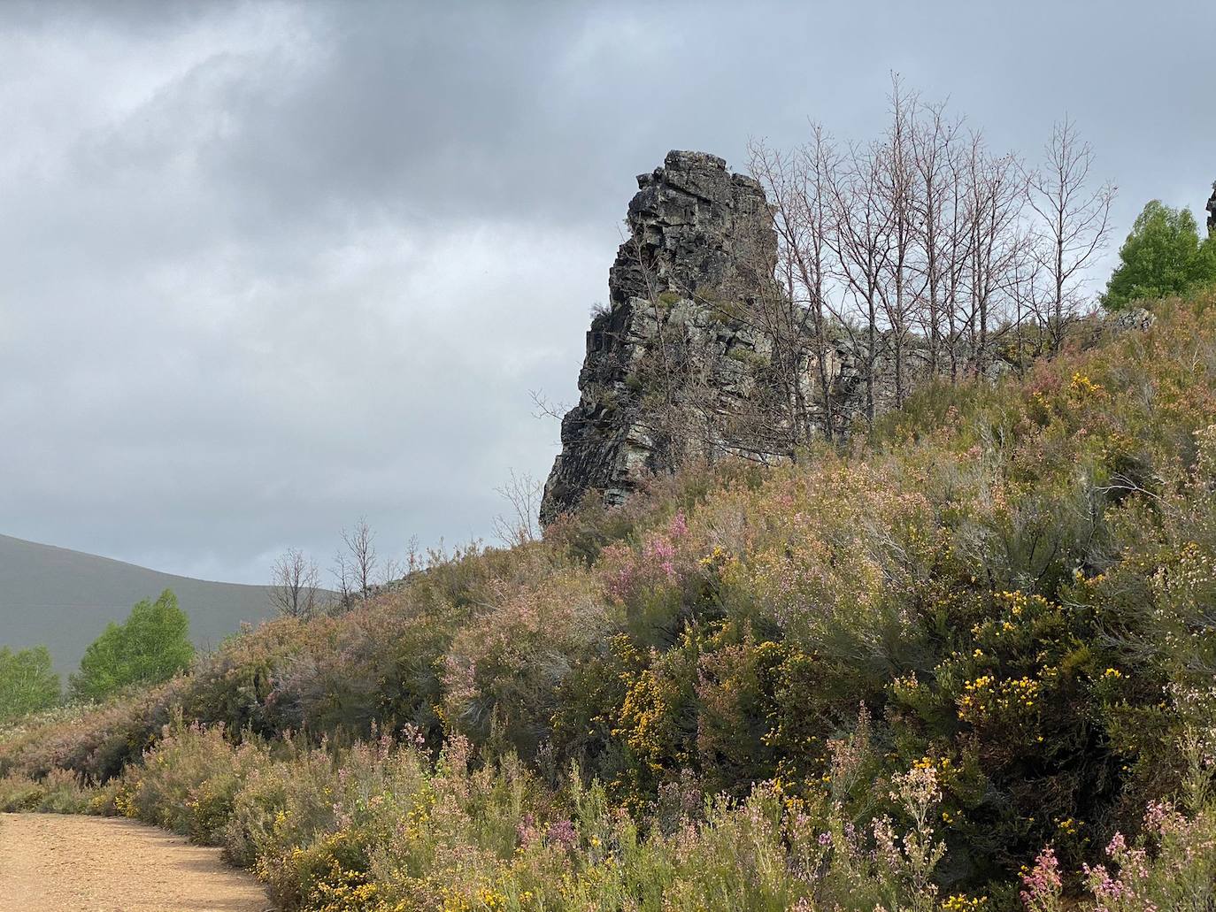 Diego Alonso y Alba García se coronan en la Truchillas-Vizcodillo