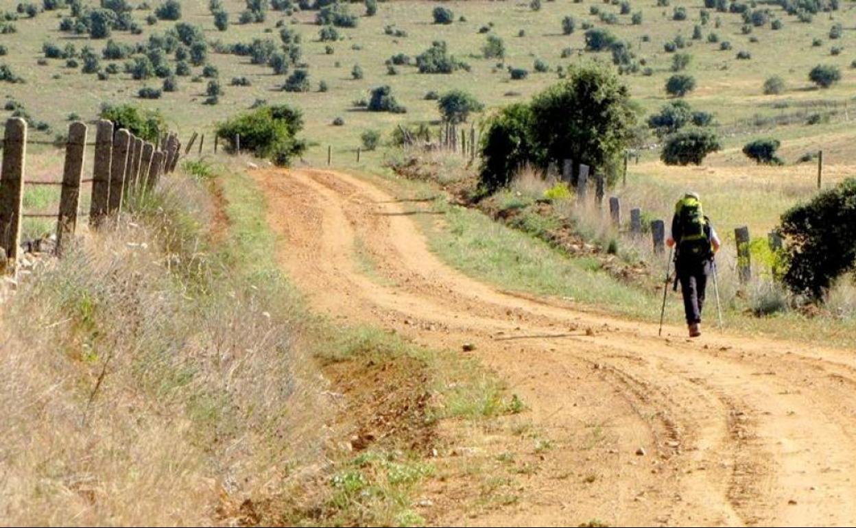 Un tramo de la Ruta de la Plata.
