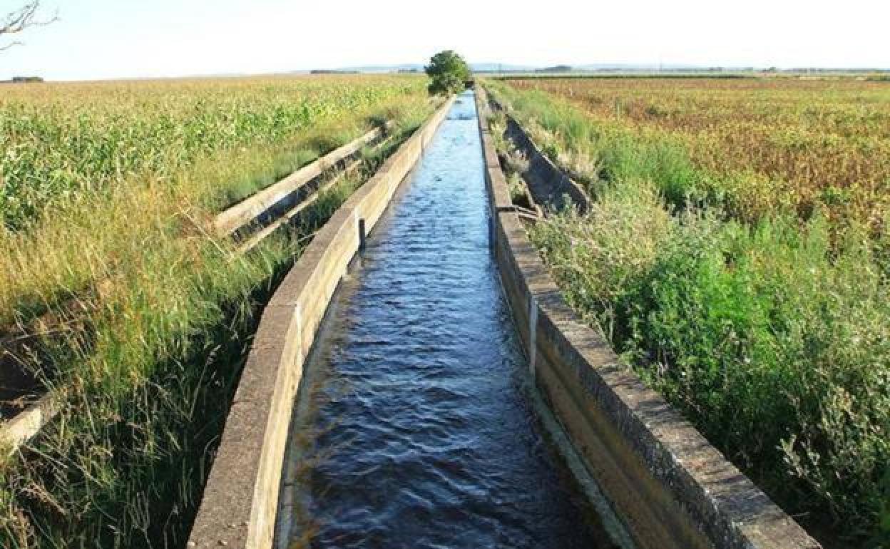 Canal del Páramo Bajo, en la zona cercana al municipio.