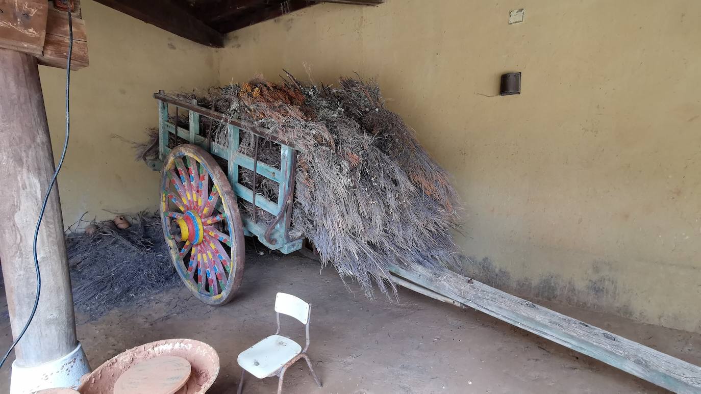 En alfares como estos, el gremio de los alfareros alcanzó su máximo esplendor a mediados del siglo XX cuando llegaron a superar el centenar y había días que se encendían hasta 30 hornos para la cocción de los cacharros en Jiménez de Jamuz