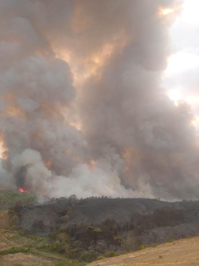 En la zona tan solo pueden intervenir medios aéreos ante la imposibilidad de actuar equipos terrestres por ser zona militar con numerosos explosivos activos | El fuego se ha propagado desde su núcleo entre los ríos Llamas y Espino. 