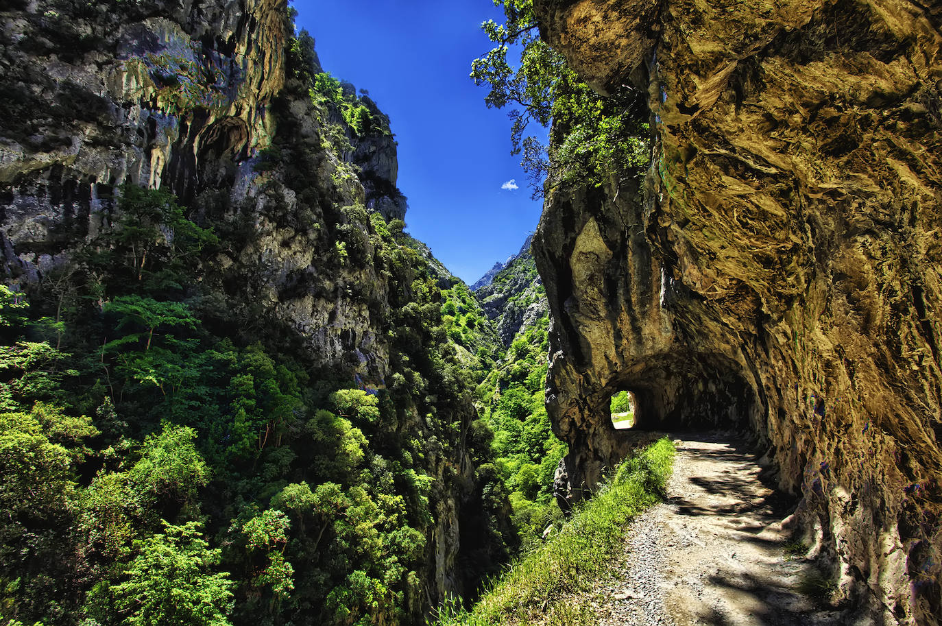 Fotos: El monumental espectáculo de la naturaleza en los Picos de Europa