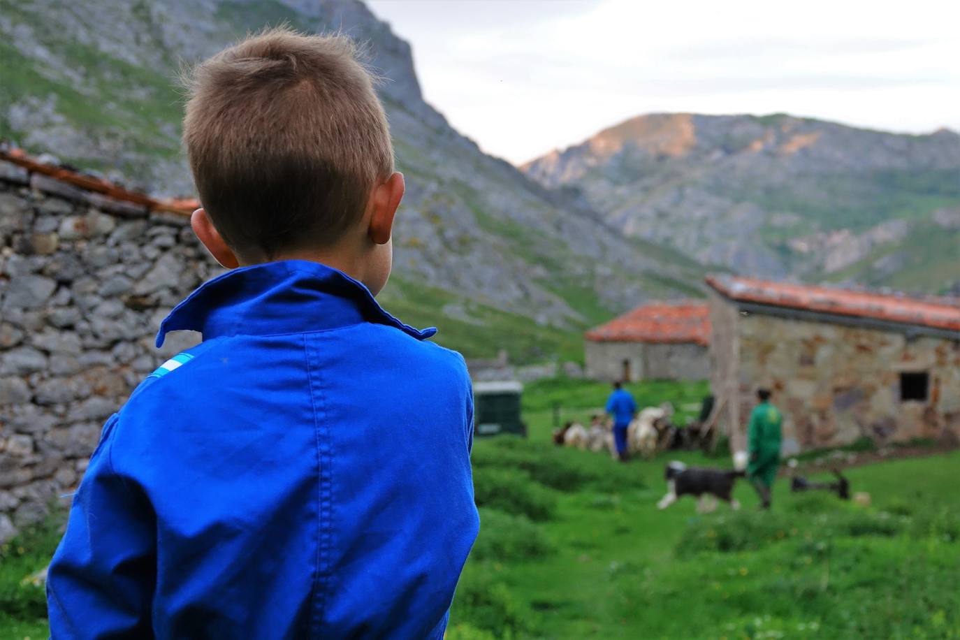 Fotos: El monumental espectáculo de la naturaleza en los Picos de Europa