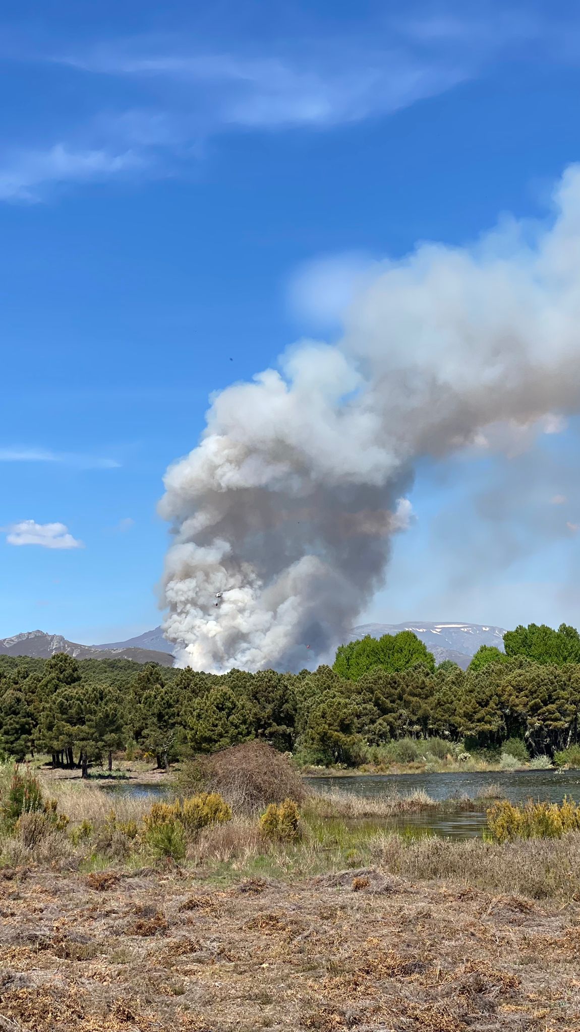 En la zona tan solo pueden intervenir medios aéreos ante la imposibilidad de actuar equipos terrestres por ser zona militar con numerosos explosivos activos | El fuego se ha propagado desde su núcleo entre los ríos Llamas y Espino. 