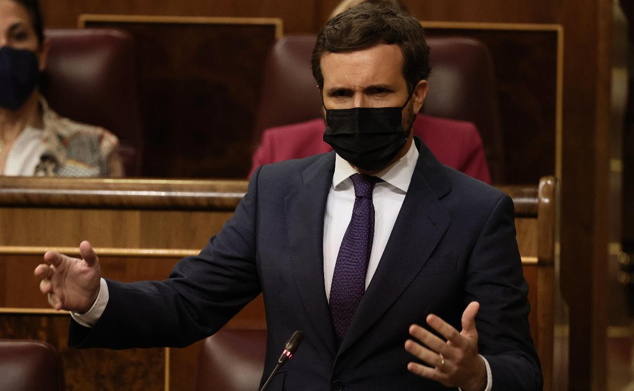 El líder del PP, Pablo Casado, en la sesión de control en el Congreso del pasado miércoles. 