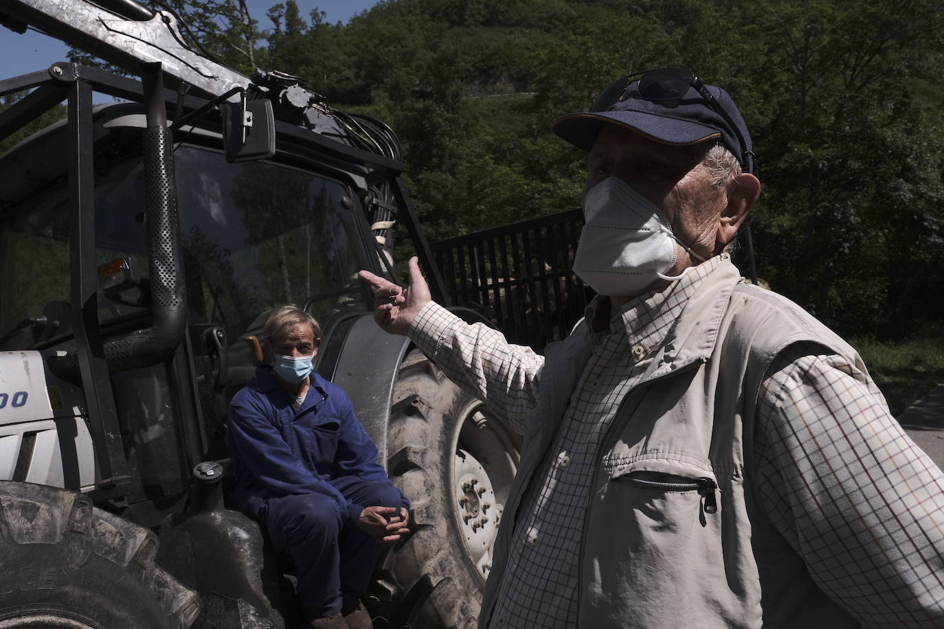 Una vecina de 75 años de Cangas del Narcea fue atacada por un oso en las inmediaciones del municipio. La mujer terminó con la pelvis rota y un desgarro en la cara por lo que fue trasladada al hospital.