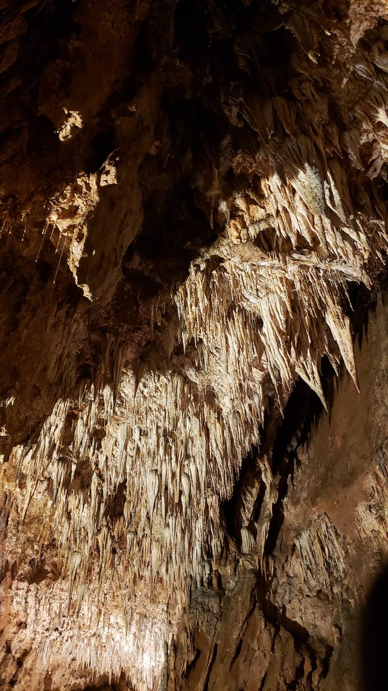 Ubicada en el corazón de la montaña leonesa la Cueva de Valporquero sigue deslumbrando una y mil veces. Un millón de años de historia convierten sus salas en un escenario al que merece la pena regresar de forma recurrente. 