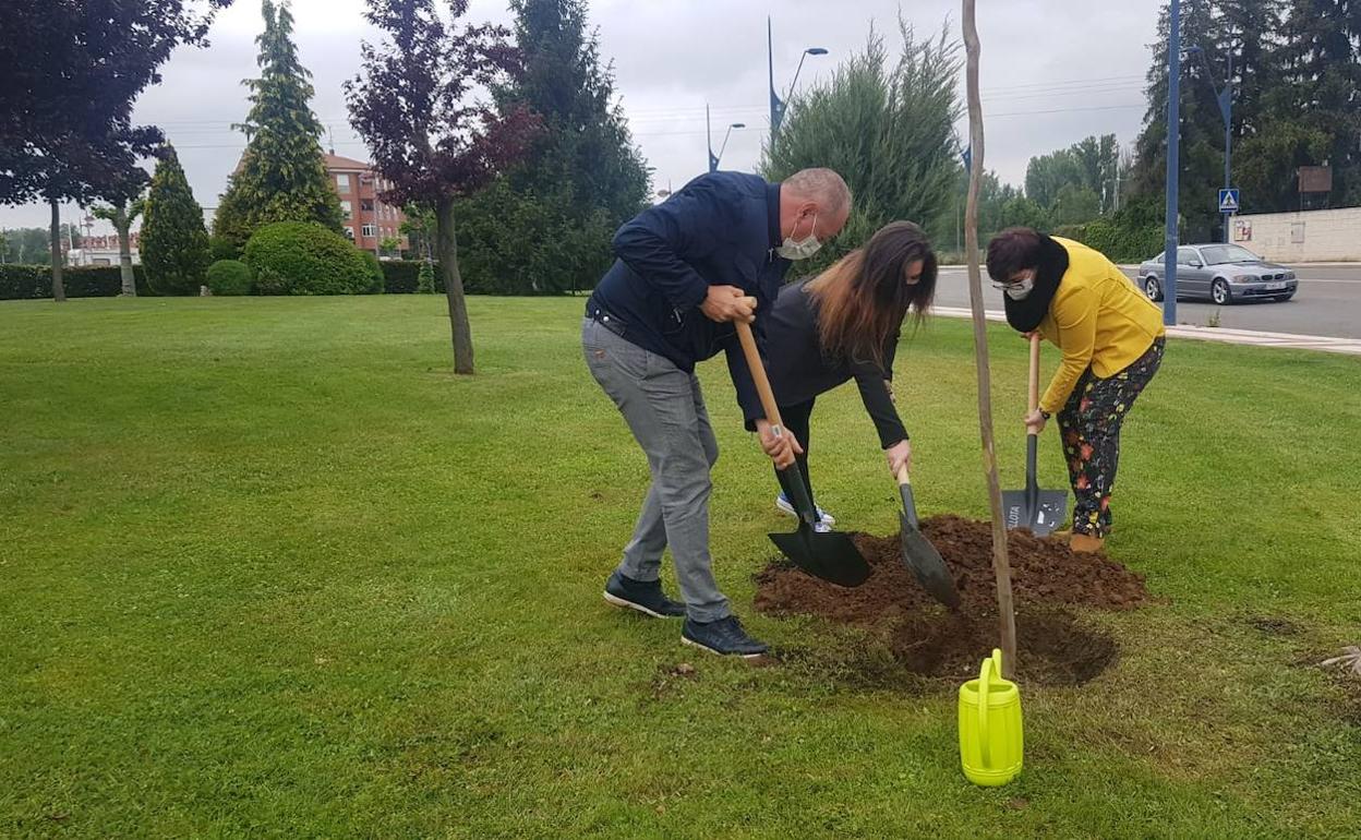 La alcaldesa de San Andrés planta un árbol en el municipio.