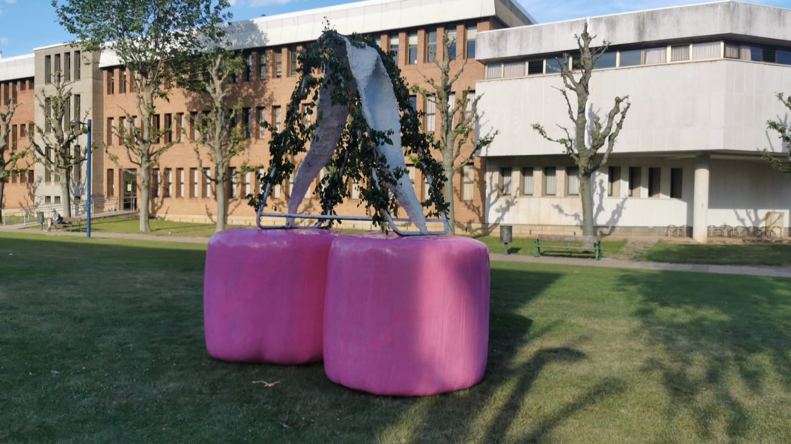 El artista que ya impresionó a los leoneses con una escultura de un pene gigante, vuelve a las andadas con el miembro femenino.