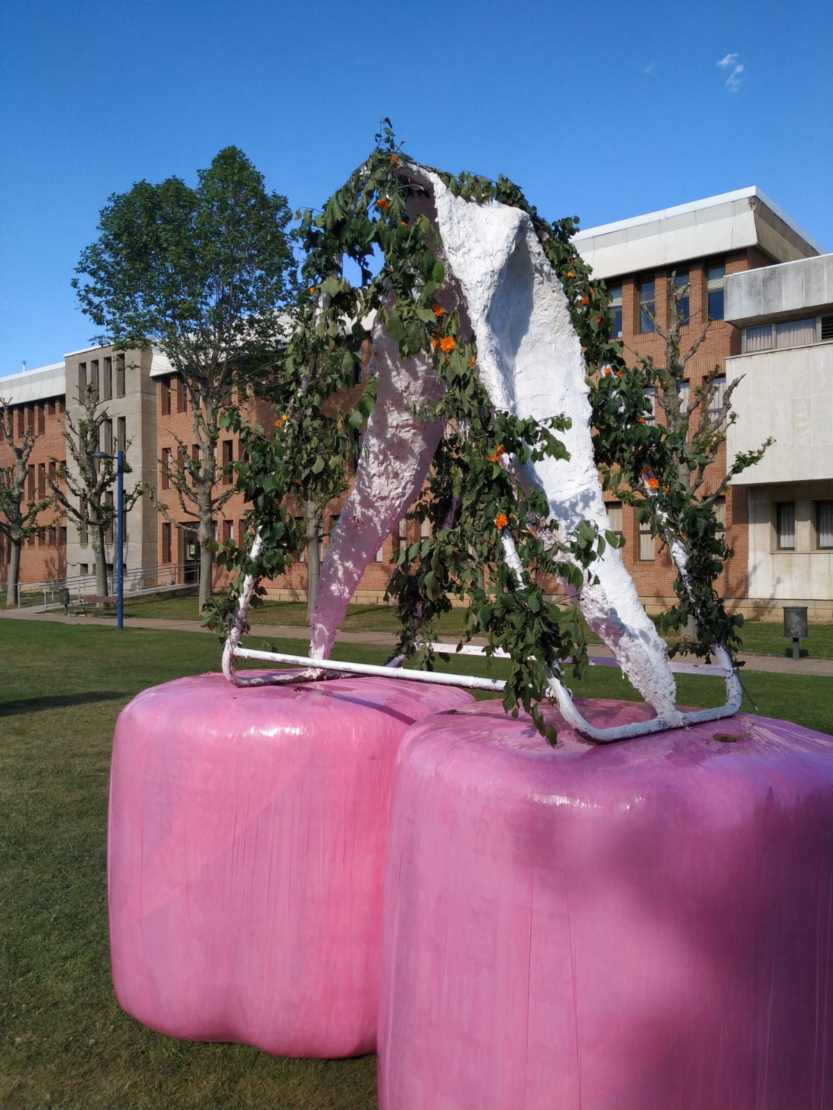 El artista que ya impresionó a los leoneses con una escultura de un pene gigante, vuelve a las andadas con el miembro femenino.